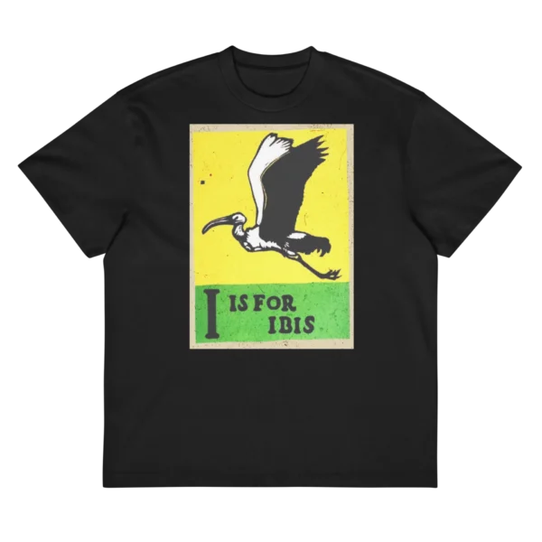 I is for Ibis
